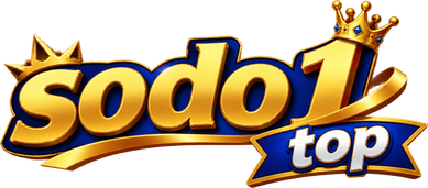 Sodo1 Top logo